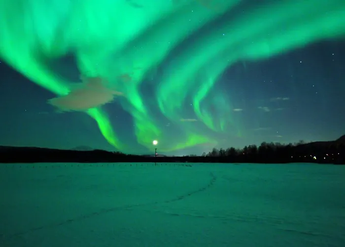 Malselv Fjellandsby Bardufoss